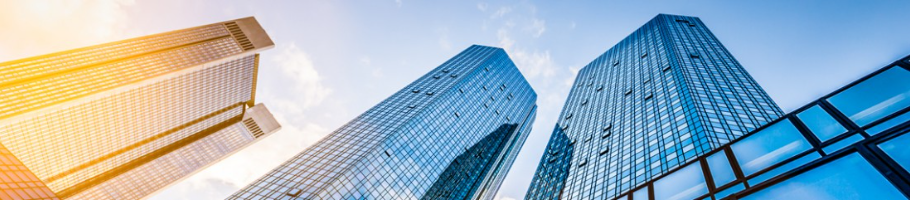 Banner 1